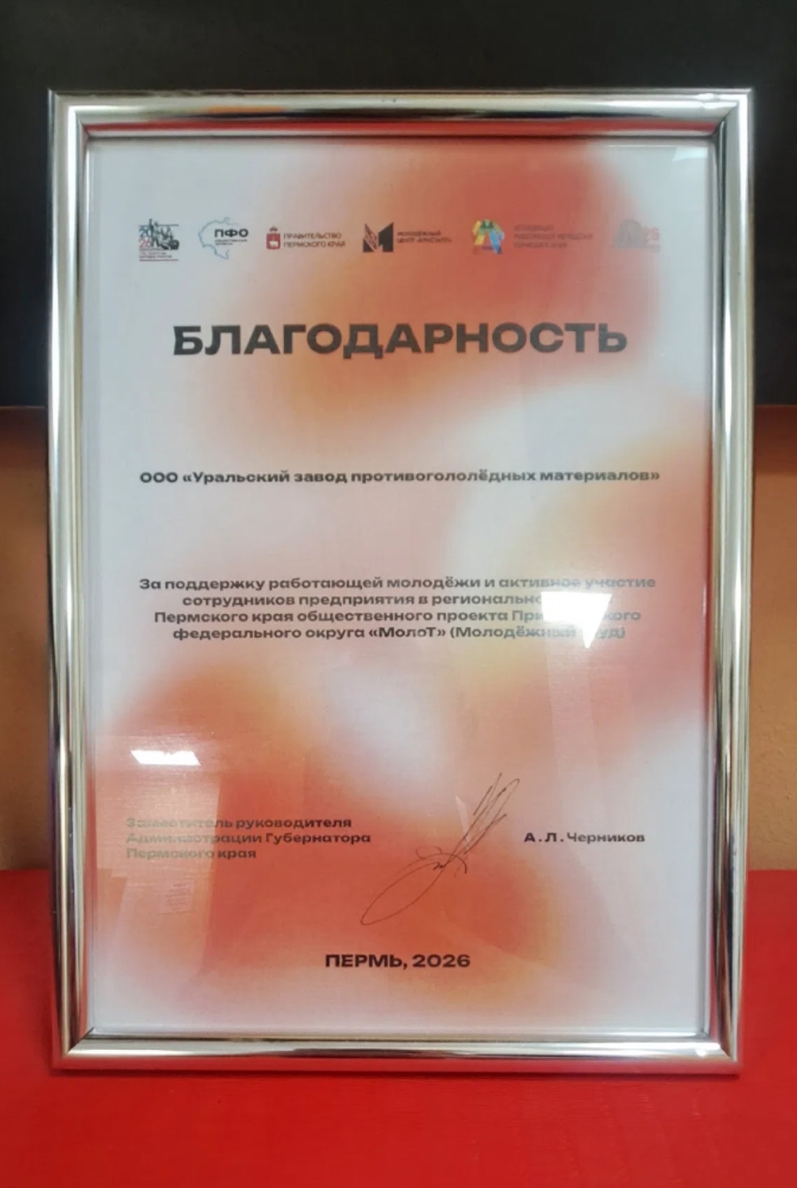 Коллектив УЗПМ успешно дебютировал на региональном этапе проекта «Молодежный труд», рис. 2